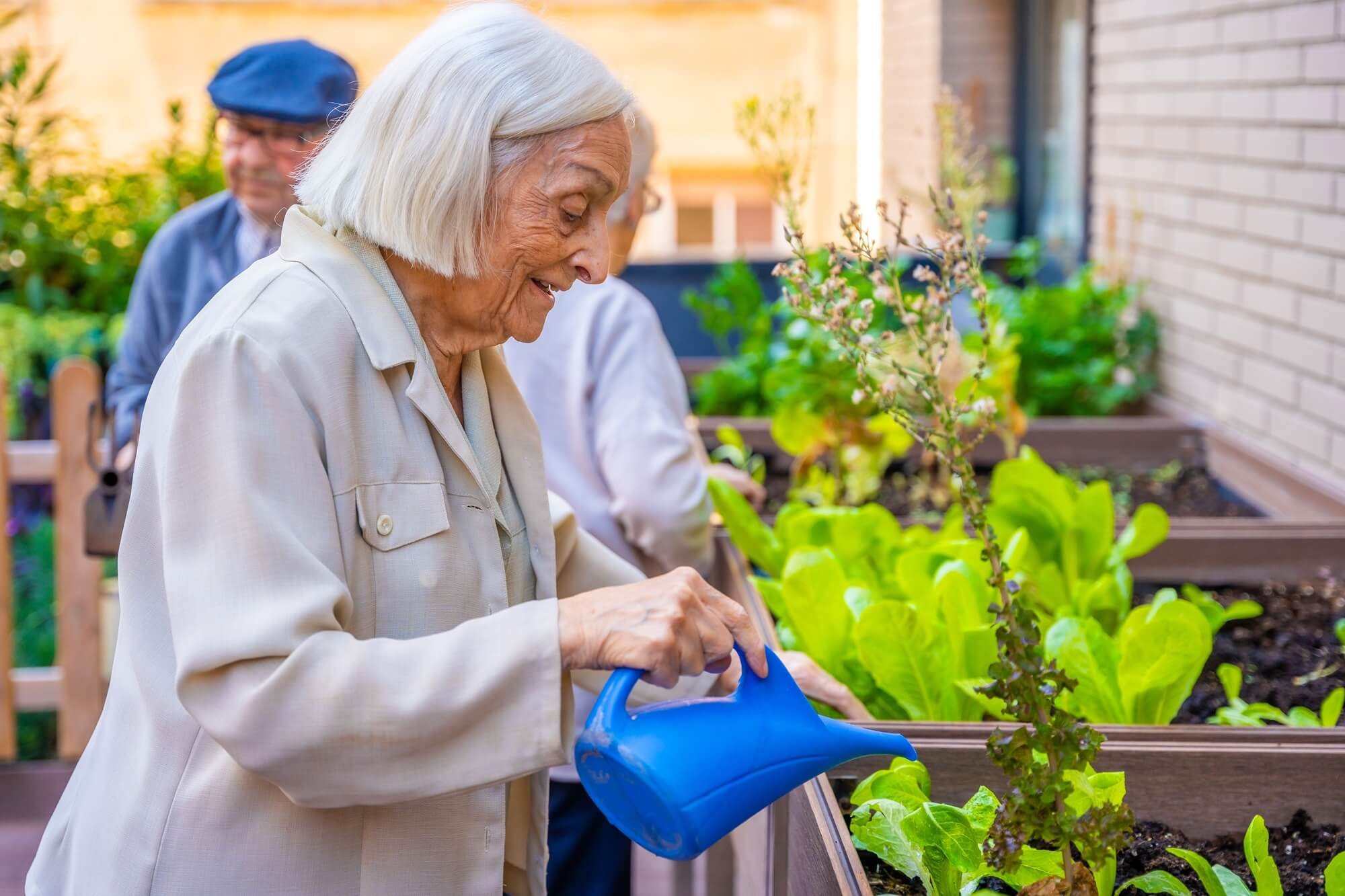 Зелени пространства и тяхното влияние върху благополучието на възрастните хора