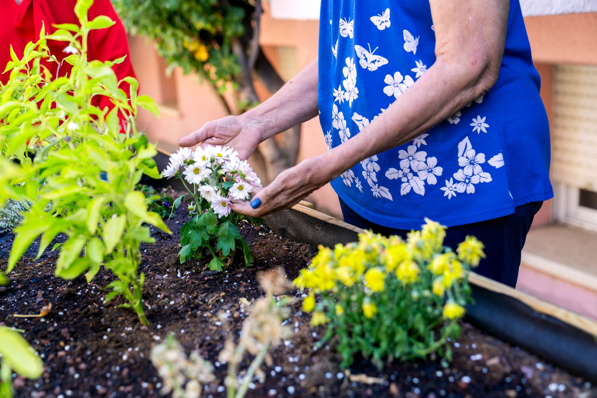 Градинарство, рисуване и шах в старческите домове – ползите от творческите активности в третата възраст